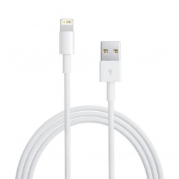 Lightning to USB Cable (1 m)