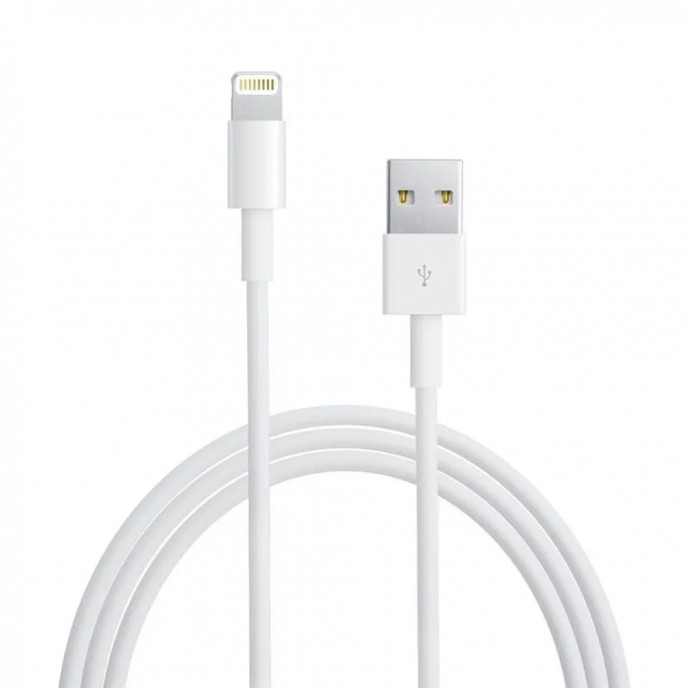 Lightning to USB Cable (1 m)