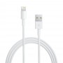 Lightning to USB Cable (1 m)