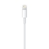Lightning to USB Cable (1 m)