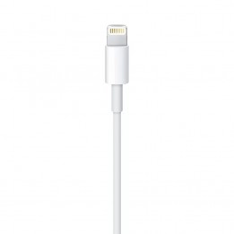 Lightning to USB Cable (1 m)