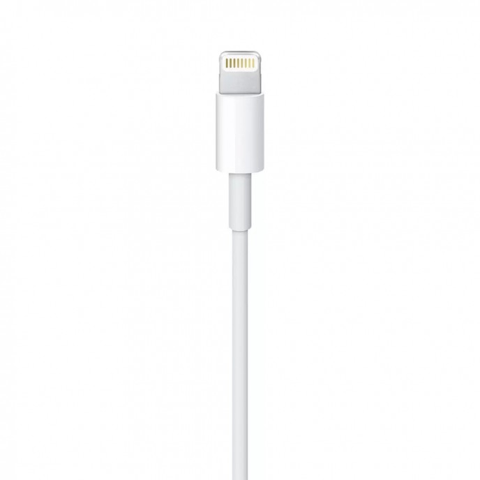 Lightning to USB Cable (1 m) Lightning to USB Cable (1 m)