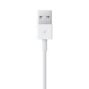 Lightning to USB Cable (1 m)