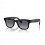 Ray-Ban Meta Wayfarer